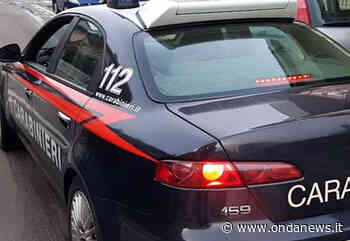 Furto di costosi alcolici in un supermercato di Agropoli. Caccia al ladro - ondanews