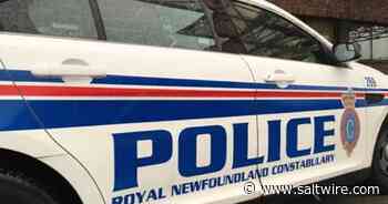 Police investigating two registered firearms stolen from Conception Bay South home - Saltwire
