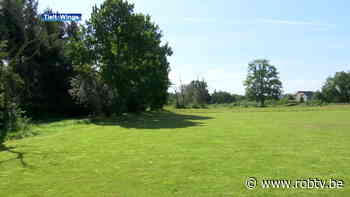 11 padelvelden op komst in Tielt-Winge, werken zijn gestart - ROB-tv