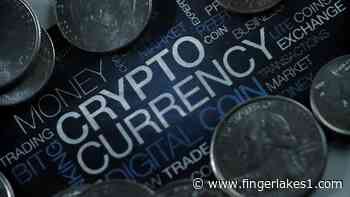 Cryptocurrency: Are Shiba Inu and Dogecoin going to crash? - FingerLakes1.com