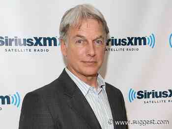 Why ‘NCIS’ Fans Might Recognize Mark Harmon’s Son, Sean - Suggest
