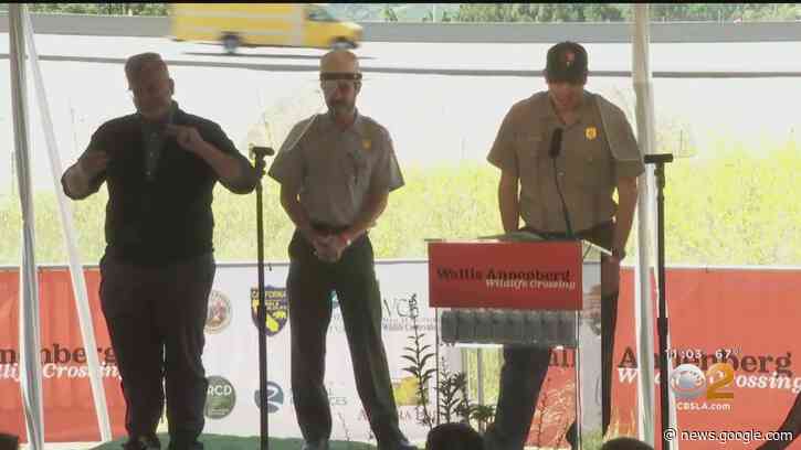 Groundbreaking for $87M wildlife crossing in Agoura Hills - CBS Los Angeles