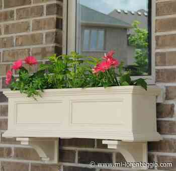 Giussano. Servizi Abitativi Pubblici, da oggi è possibile presentare domanda - MI-LORENTEGGIO.COM - LE ULTIME NOTIZIE DI CRONACA, POLITICA, ANNUNCI, SPORT, FOTO E VIDEO DI MILANO E LA LOMBARDIA - Mi-Lorenteggio