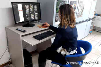 Il Comune di Torrita di Siena potenzia il sistema di videosorveglianza - SienaFree.it