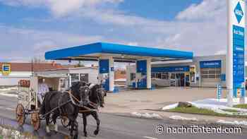 Senden Sie Ihr Video an BILD! : Wie viel Inflation spürst du? - nachrichtend.com