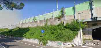 Barriere antirumore sulle linee ferroviarie Milano – Bologna e Parma - Brescia. - - ParmaDaily.it