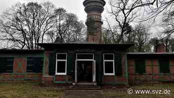 Stadtpark: Stadt- oder Waldpark – Wittenberge will sein grünes Herz neu erfinden - svz – Schweriner Volkszeitung