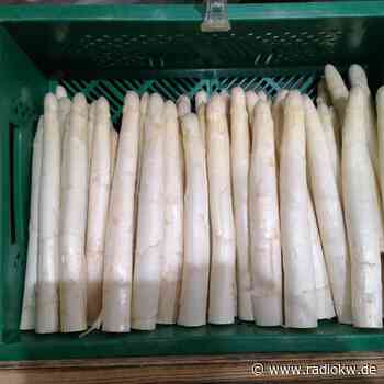 In Alpen wird am Sonntag die Spargelsaison gefeiert - Radio K.W.