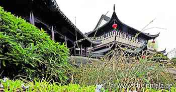 Luisenpark: Jahreskarten können ab Samstag verlängert werden - Mannheim - Rheinpfalz.de