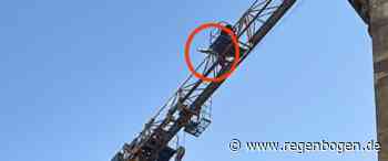 Mannheim: Möwe wird in 45 Metern Höhe gerettet - Regenbogen