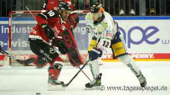 Eric Mik wurde bei den Eisbären vom Jäger zu Gejagten - Tagesspiegel