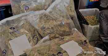 Minderjarigen betrapt met drugs op zak in Hollebeekpark - Het Laatste Nieuws