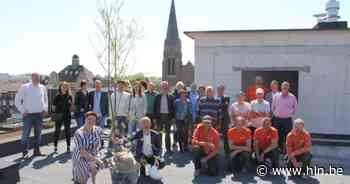 Meiboom geplaatst bij parkresidentie Bernice | Menen | hln.be - Het Laatste Nieuws