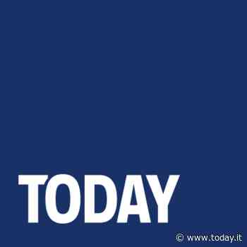 Matera: consulenti lavoro, provincia sceglie Asse.Co. categoria - Today.it