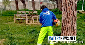 Matera, manutenzione delle aree verdi: "Tagliate fuori imprese locali, molte con personale svantaggiato"! Ecco cosa sta succedendo - Matera News