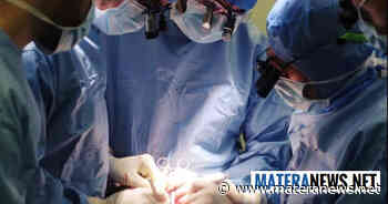 Matera, donazione organi: è della Provincia il comune più generoso di tutta la Basilicata! Ecco il rapporto - Matera News