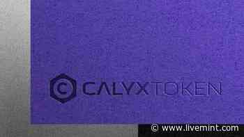 Calyx, Cardano (ada) And Solana-new Investment Avenues With Good Potential | Mint - Mint