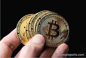 Make the Right Investments With Firepin 'FRPN', Tezos 'XTZ' & Monero 'XMR' - chimpreports.com