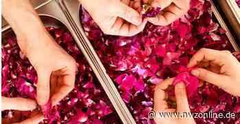 Destillate: Nippen und essen: Experimente erlaubt - Nordwest-Zeitung