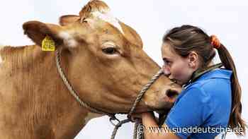 Tierwohl, Vegetarier und Veganer: Wer Tiere liebt, sollte sie essen - Süddeutsche Zeitung - SZ.de