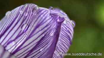 Sonne im Norden und Regen im Süden in NRW erwartet - Süddeutsche Zeitung - SZ.de