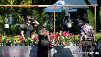 Grugapark Essen: Markt mit seltenen Pflanzen am Wochenende - WAZ News