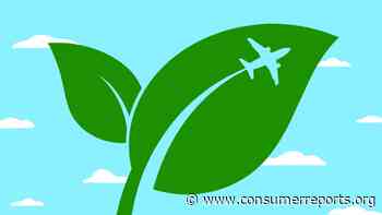 Can You Pay to Shrink Your Carbon Footprint? - Consumer Reports