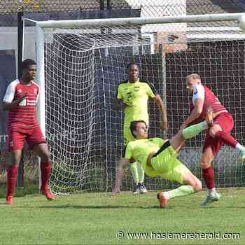 Farnham Town on road to success says stand-in boss Roger Steer | haslemereherald.com - Haslemere Herald