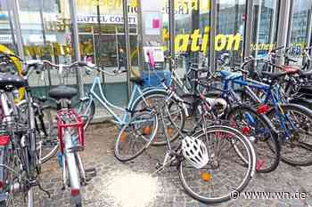 So groß ist das Ratten-Problem in Münster wirklich