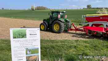 Protest von Bauern in Osterburken: Kein Getreide auf Brachflächen - SWR Aktuell