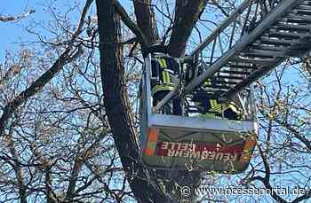 FW Celle: Celler Feuerwehr weiter tierisch gefordert!