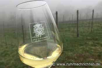 Weingut Graf von Kanitz präsentiert seine neuen Weine in Cappenberg - Ruhr Nachrichten