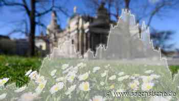 Corona in Dresden: So ist die aktuelle Lage - Sächsische.de