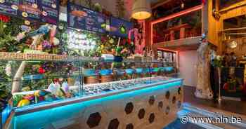 RESTOTIP. Ohana Pokébowls in Brugge: de naam leidde tot een rechtszaak, maar is de smaak stof tot discussie? - Het Laatste Nieuws