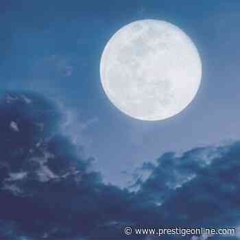 Moon dust collected by Neil Armstrong sells for US$504,375 at auction - Prestige Online Malaysia