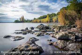 "Questo inverno acqua più calda di un grado e deficit idrico del 40%" - Tuscia Web
