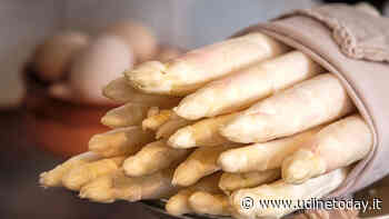 Torna a Fossalon di Grado la Festa degli asparagi - UdineToday