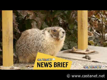 The Allan Brooks Nature Centre in Vernon opens for season on Saturday - Vernon News - Castanet.net