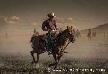 No trigger warning necessary - I can’t risk offending or upsetting you... - Stamford Mercury