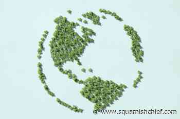 Earth Day: Best home eco-friendly products - Squamish Chief