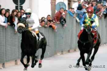 Palio dell'Ascensione a Floridia con regole di legalità - Nuovo Sud