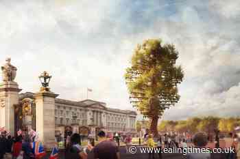 70ft living tree sculpture to stand outside Buckingham Palace for Jubilee - Ealing Times