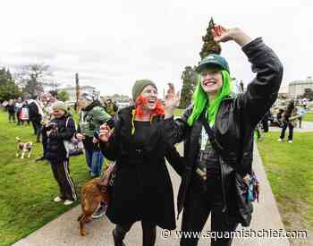 Many cannabis users aren't happy with restrictions - Squamish Chief