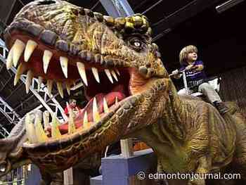 T. Rex and Triceratops engage and entertain at Jurassic Quest