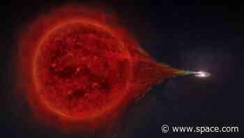 Violent stellar explosion produces highest-energy gamma-rays ever observed from a nova