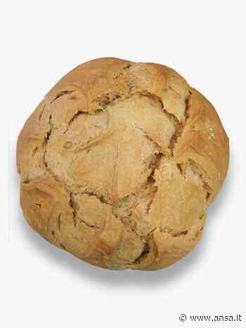 Fiera San Marco, Consorzio Cocconato porta i suoi 'gioielli' - Piemonte - Agenzia ANSA