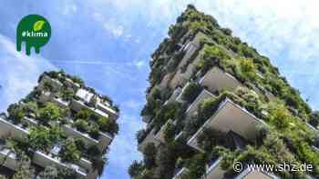 Nachhaltig Wohnen : Kieler Green-Building-Professorin: Schon beim Bau an den Abriss denken | shz.de - shz.de