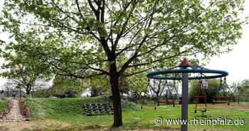 Bau der neuen Kita rückt näher - Edenkoben - Rheinpfalz.de