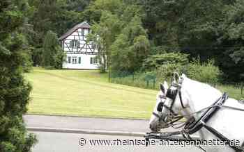Emsige „Dörfergemeinschaft am Thürne“: Bau eines "Backes" geplant / Bärlauch-Exkursionen / Pflanzenbörse 7.Mai - Rheinische-Anzeigenblätter.de
