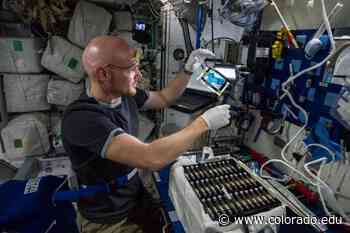 Developing cancer treatments in space | Ann and HJ Smead Aerospace Engineering Sciences - CU Boulder Today